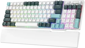 RK ROYAL KLUDGE RK96 RGB Limited Ed, 90% 96 teclas inalámbrico triple modo BT5.0/2.4G/USB-C teclado mecánico intercambiable en caliente con reposamuñecas, soporte de software y batería masiva,